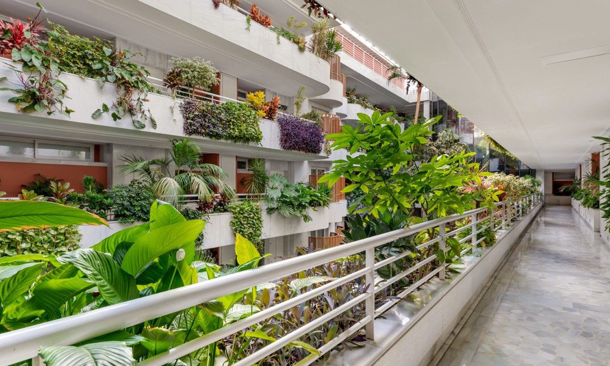 parke marbella bobis marbella07