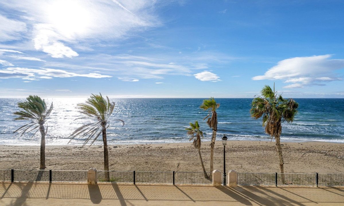 parke marbella bobis marbella32